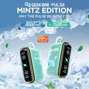 IceyMintz (Mintz Edition) 5% disposable